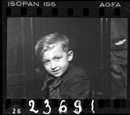 Portrait of a young boy