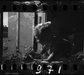 Portrait of a young child