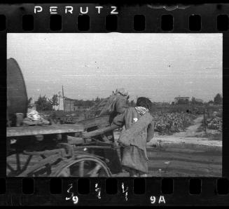 Fecal workers in the ghetto