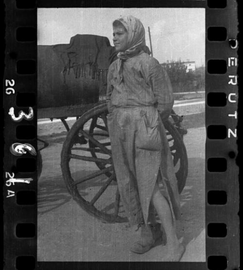 The removal of feces in the ghetto by men and women workers