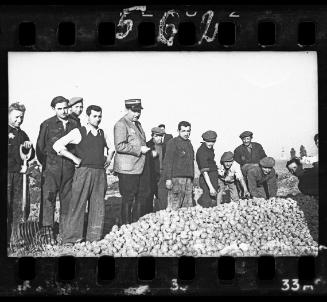Jewish policeman and workers standing with potatoes delivered to the ghetto