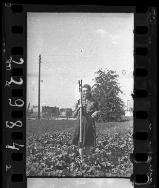 Woman standing in a vegetable garden