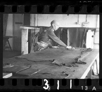 Man brushing hide in the leather factory