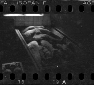 Corpses and body parts in the morgue