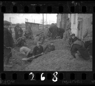 Man digging pit while boys search the ground for food