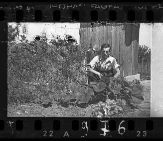 Man crouching in a vegetable garden