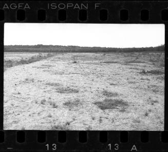 Field in the ghetto after liberation