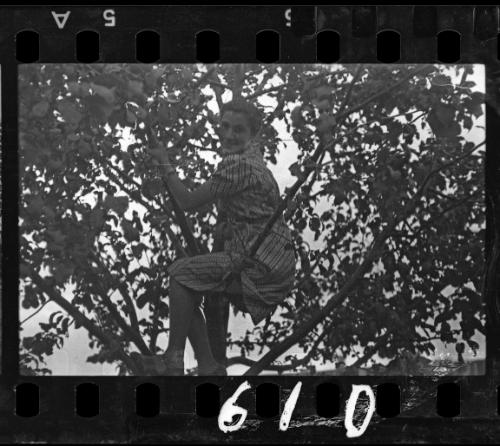 Young girl in a tree