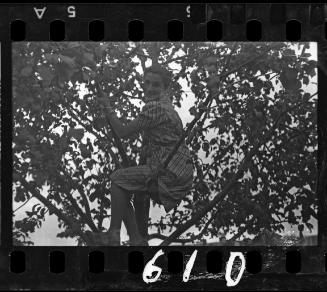Young girl in a tree