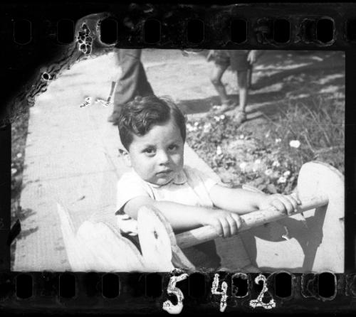 Portrait of a young child