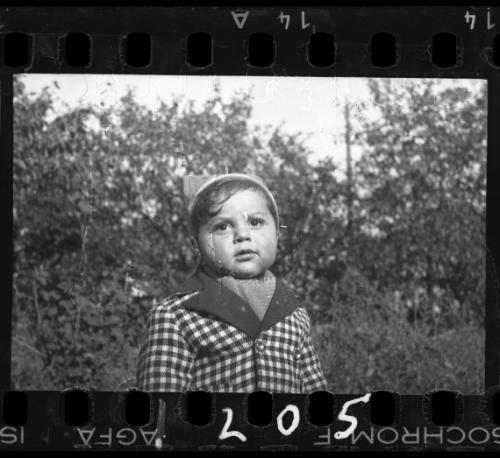 Portrait of a young child