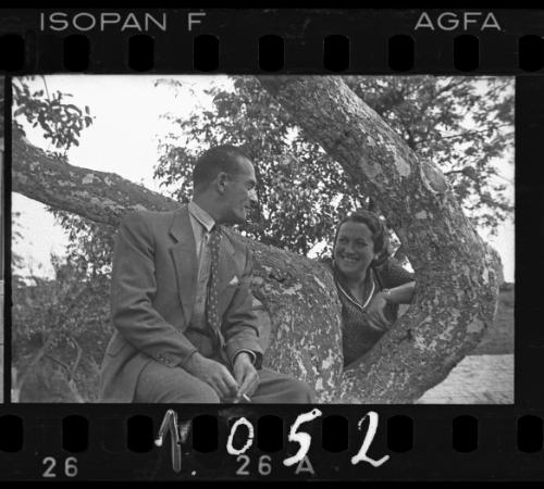 Couple in a tree