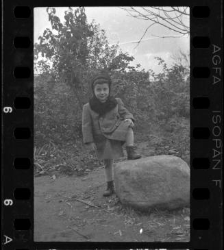 Portrait of a young boy