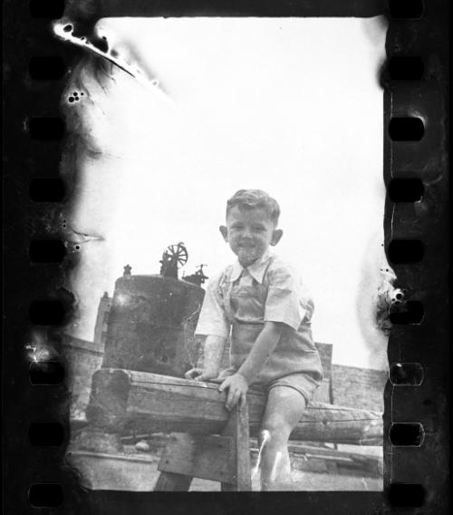 Portrait of a young boy