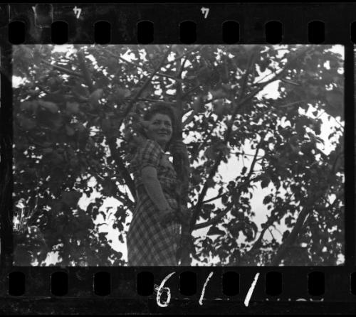 Young woman in a tree