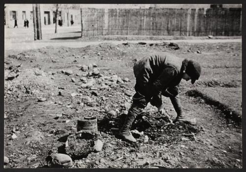 Boy digging for food