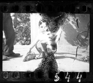 Portrait of a young boy with a rabbit