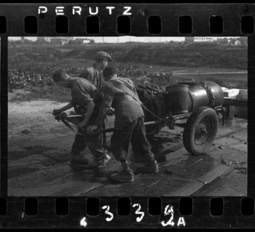 The removal of feces in the ghetto by men and women workers