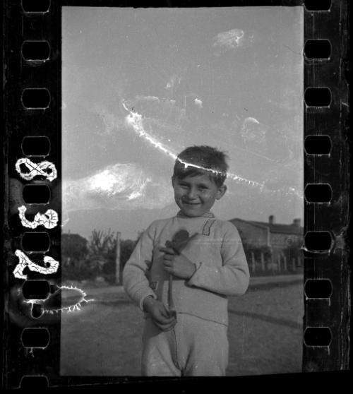 Portrait of a young boy