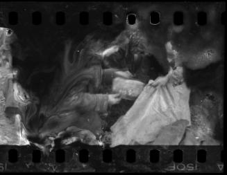 Residents searching the ground for burried food