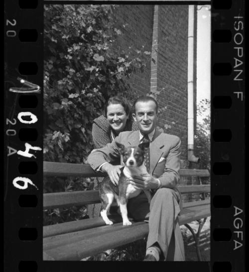 Couple with a dog on a bench