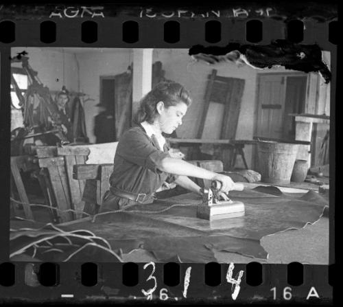 Production in the leather factory