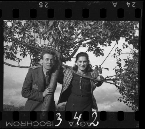 A couple posing in a tree