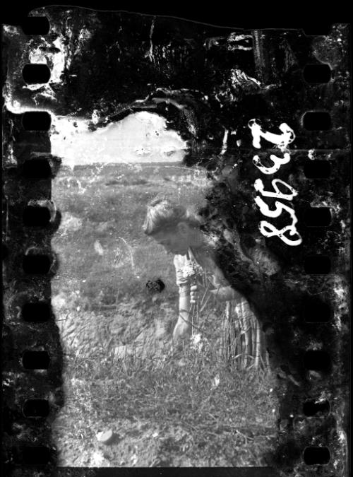 Young girl picking flowers