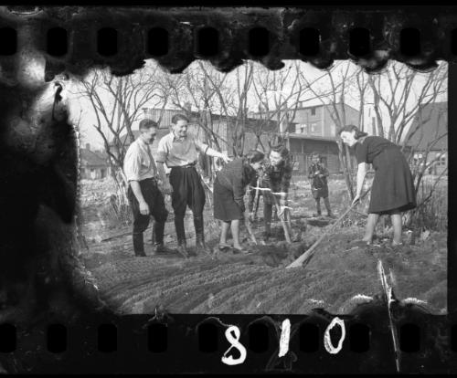 Residents working in a garden plot