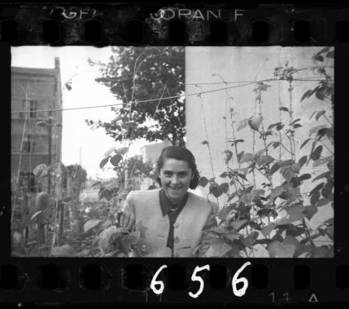 Young woman looking through vines