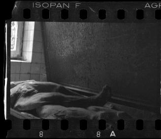 Corpses and body parts in the morgue