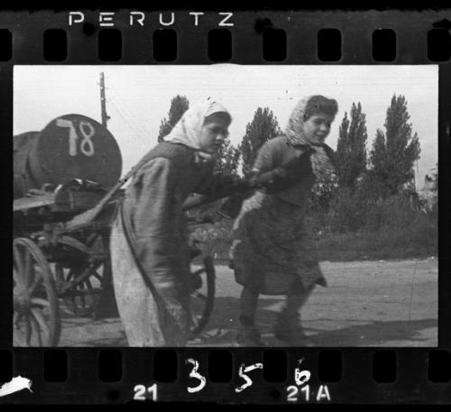 The removal of feces in the ghetto by men and women workers