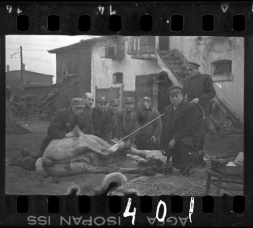 Members of the Transport Department and the veterinary hospital with a sick horse in the ghetto