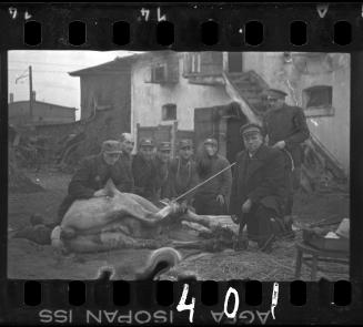 Members of the Transport Department and the veterinary hospital with a sick horse in the ghetto