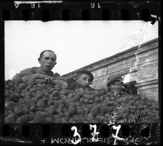 Delivery of potatoes to the ghetto