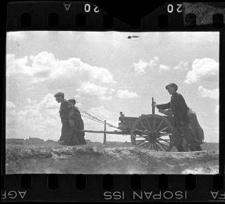 Residents pulling a hearse through the ghetto
