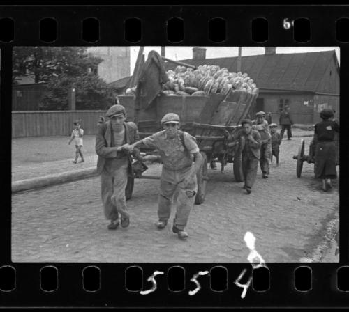 Men hauling the cart for bread distribution