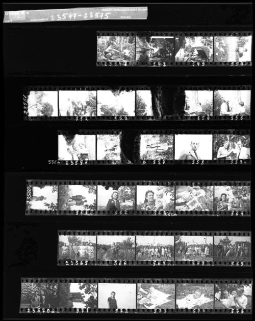 Negative Sheet #52 from Lodz Ghetto Collection