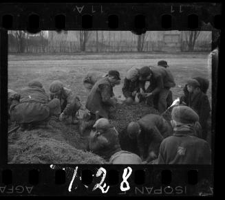 Children digging ground for food