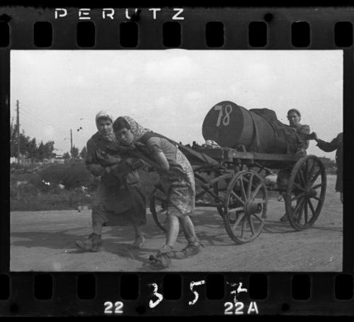 Fecal work carried out by men and women, Lodz Ghetto