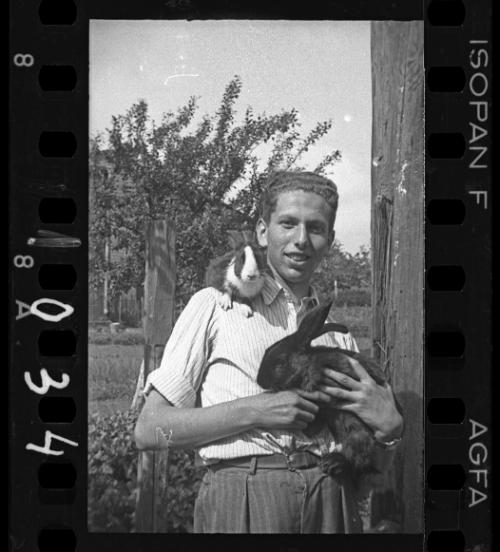 Young man, holding two rabbits, beside a vegetable garden