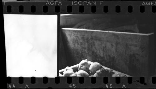 Corpses and body parts in the morgue