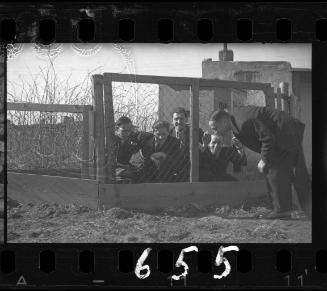 Five men in chicken coop