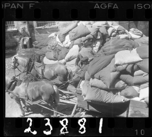 Horse-drawn cart piled with the belongings of deported residents from the ghetto
