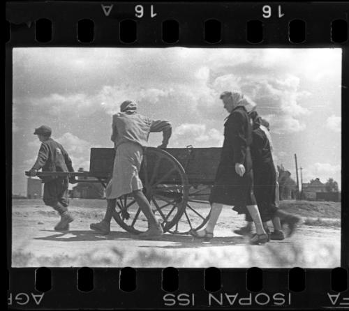 Residents pulling a hearse through the ghetto