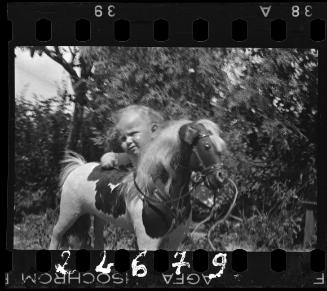 A child with a rocking horse