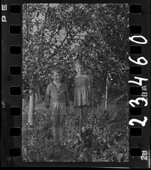 Portrait of a girl and a boy