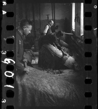 Men cleaning hides in the leather factory