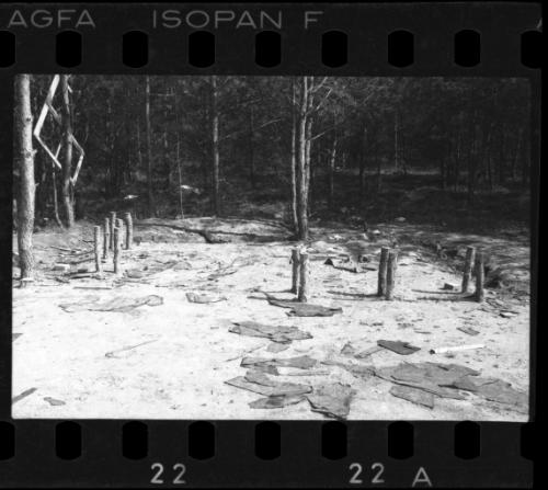 Field in the ghetto after liberation
