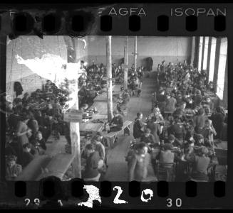 Advanced training of youth workers, Labour Department